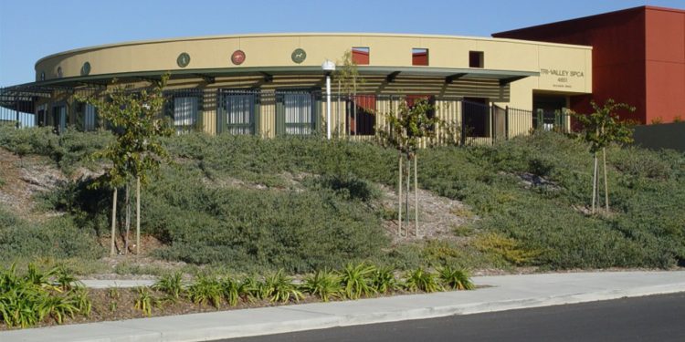 P2.1-TriValley-SPCA-900x675