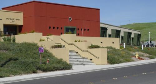 P2.2-TriValley-SPCA-900x675