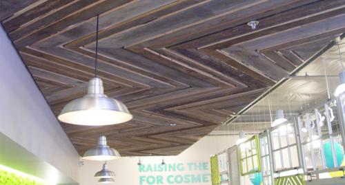 P2.4-Whole-Body-Campbell-900x675